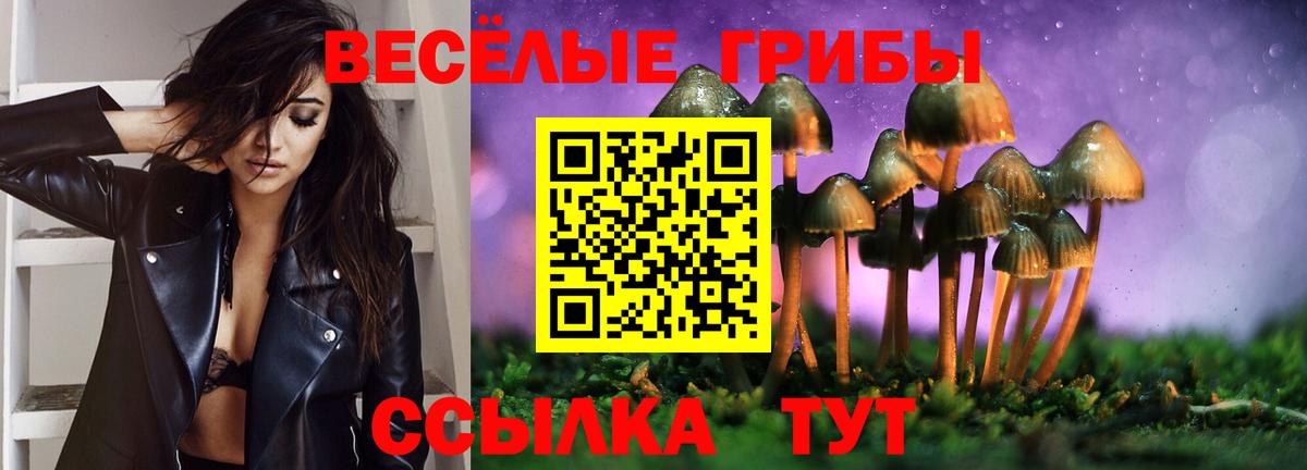 Краснознаменск  Псилоцибиновые грибы прущие грибы  Вход с VPN 
